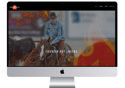 Countin Hot Checks Cutting Horse Cow Horse Stallion Website Design
