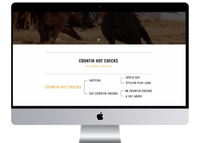 Countin Hot Checks Cutting Horse Cow Horse Stallion Website Design Pedigree