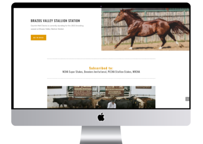 Countin Hot Checks Cutting Horse Cow Horse Stallion Website Design 2